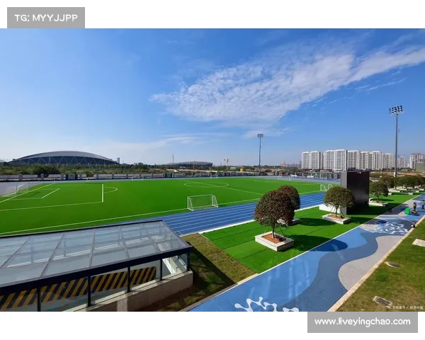 体育环境学发展，可持续性成为赛事申办与运营核心考量。